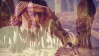 عسى الله يقرب ديرة البدو ياجفران | كلمات الوالد علي بن مرعي | أداء ناصر الطويل منكوس HD 2019