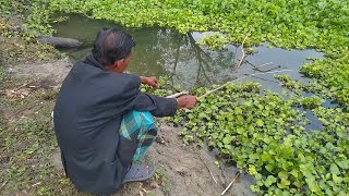 Amazing Hook Fishing Video | Village Traditional Fishing (Part-13)