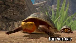 Box Turtle Simulator - App Promo Video