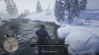 Red Dead Redemption 2 - Arthur and The Deer Fell Off The Horse