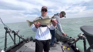 Trolling for big walleye! How to filet a walleye (Catch clean cook)