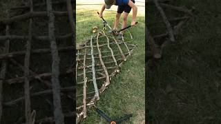 Building a trellis. #bushcraft #bushcrafting