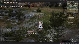 Black Desert Online - My 2020 Utensil Setup