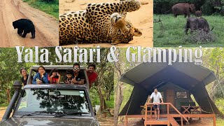 Yala Safari and Glamping (with English sub titles) | Kulu Safari Sri Lanka