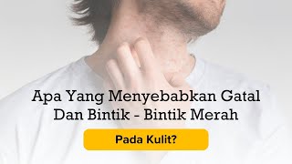 Apa Yang Menyebabkan Gatal Dan Bintik - Bintik Merah Pada Kulit?