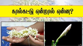 #கால்கட்டு முறையில்#பூ கட்டலாமா|Easy way to #tie#flowers using thread| #5minute|#பூ கட்டுவது எப்படி?