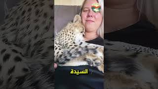 فيديو مجمع لانقاذ الحيوانات والطيور اللطيفة