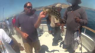 Reel Anglers GoPro clip on the Gentlemen Sport Fishing