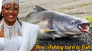 A live fish seen at the palace of ooni of ife Ashley is back