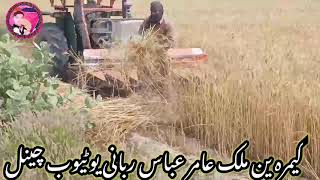 gandam katne wali machine performance 2022|Rapper harvester machine price in pakistan Bhakkar