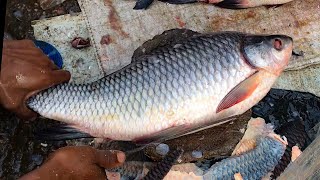 Big Rohu Fish Cutting & Chopping Skills At Bangladesh Fish Market