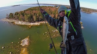 Ловля кумжи в архипелаге Хельсинки | Adventures area | Suomenlahti meritaimen