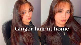 Black to copper ginger hair at home | Creme of Nature GINGER BLONDE