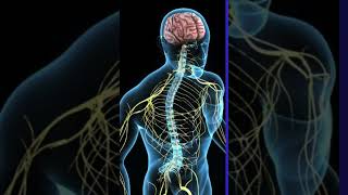 UNDERSTANDING PARKINSON'S DISEASE #shorts