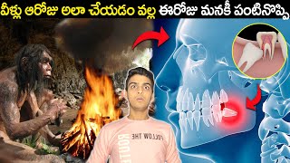 Why we Suffer From WISDOM TOOTH  & TOP INTERESTING  & AMAGING FACTS IN TELUGU  || DYK EP-112