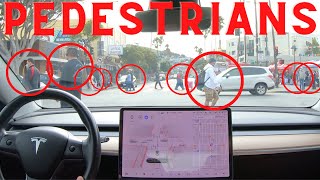 Tesla FSD Beta pedestrian detection in 10.3.1