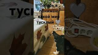 Теперь я понимаю какой наш мир тусклый 🩶