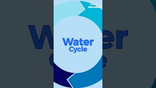 “Water Cycle” #science #learn #basics #watercycle #knowledge