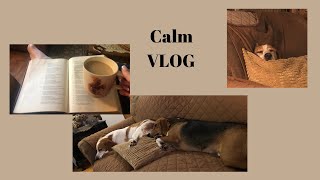 Calm VLOG ~All Music, No Talking~