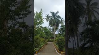 calmness of university of mumbai #youtubeshorts #shorts #universityofmumbai #maharashtra