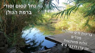 נחל סודי ולא מוכר ברמת הגולן שופע מים כל השנה, בריכות מים עמוקות, מפלים, פינות זולה מושקעות - # 4*4