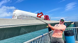 I Waited All Day to Catch This Giant Fish on The Florida Keys Bridge!