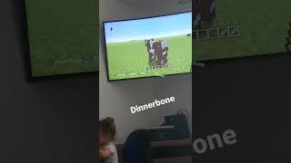 Dinnerbone🤣🤣🤣🤣