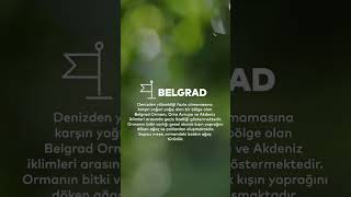 Tam Burada Dinlemelik Şarkılar: Belgrad Ormanı