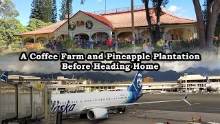 Visiting a Coffee Farm and the Dole Plantation Before Returning Home from O'ahu