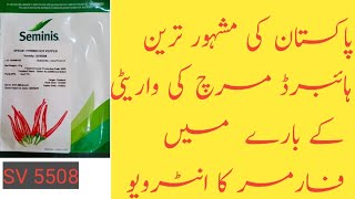 Famous Hybrid Chilli Vareity |ہائبرڈ مرچ کی مشہور ترین واریٹی|@imranhameedjoyia|SV5508|Upward|