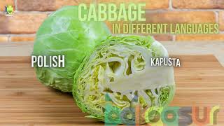 Cabbage In Different Languages / What do you call Cabbage in different languages ?