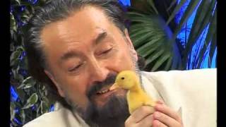 Adnan Oktar (Harun Yahya) Ördeği seviyor