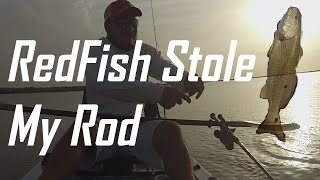 Redfish Stole My Rod!!! | Kayak Fishing