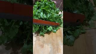 Fruit Ninja of CORIANDER | Amazing Fruits Cutting Skills | Indian Street Food in 2023 #shorts #food