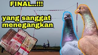 FINAL..!!!! DUEL MAUT LOMBA MERPATI KOLONG LAPAK KEBO IJO CUP TEGALONTAR