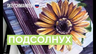 Рисуем подсолнух спиртовыми маркерами SKETCHMARKER!