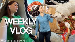 WEEKLY VLOG 🌷 // zakupy i lego z Michem / owsiankowa faza 🍛 / postępy Tadzika / bieganie i siłka //