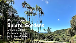 A Visit to Martinique’s Botanical Balata Gardens