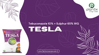 TESLA (Tebuconazole 10% +  Sulphur 65% WG)