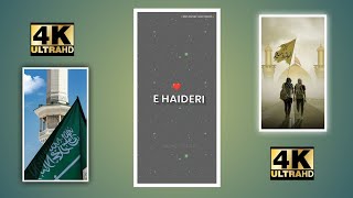 Jaanam Fida-e-Haideri status || Ya ali ali ali status || #jaanamfidaehaidari #viralshorts