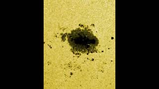 The Solar Dynamics Observatory SDO Group AR3780HMI Intensitygram