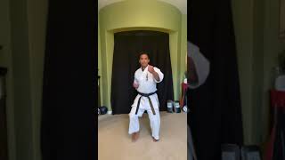 Kyu Kumite Solo