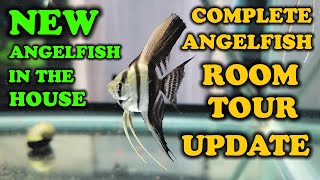 ANGELFISH ROOM TOUR UPDATE: OCTOBER 2022