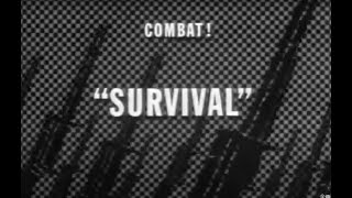 COMBAT! s1-ep.23 『生きる / Survival』