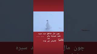 کنترات به شکله