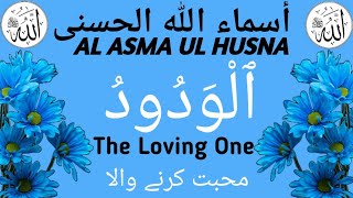 Beautiful Name of Allah - Al-Wadood | 99 Names of Allah | Way to Allah