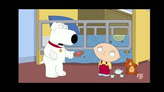 Family Guy Brian Apologized To Stewie FXX Airing Tuesday October 22 2024