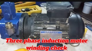 Three phase induction motor winding check