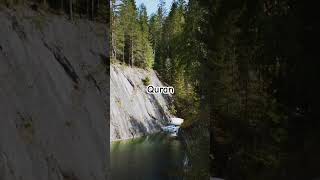 Quran Tarjuma | Quran Translation | Quranic Translation | Recitation of Quran #quran #islam #islamic