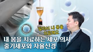 자율신경 문제로 여기저기 아픈 몸, 줄기세포의 효과는?